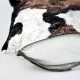Декоративна подушка Crush Animal Texture В інтер'єрі