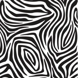 SOFT ZEBRA 01