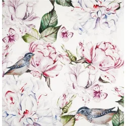 SOFT ROZE 03