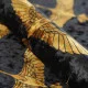 Принтованный велюр с узором Птицы С другого ракурса