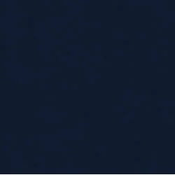21605 Темно-синій